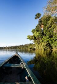 Amazonas 4a Tour por el río Amazonas Colombia con transporte incluido