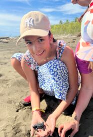 bahia Una experiencia que recordarás toda la vida avistando ballenas