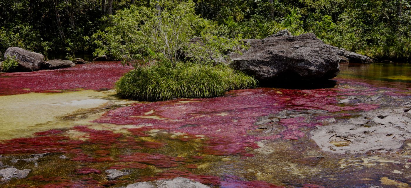 Enmascarar grupo 4189 Paquete turístico a Caño Cristales con hospedaje