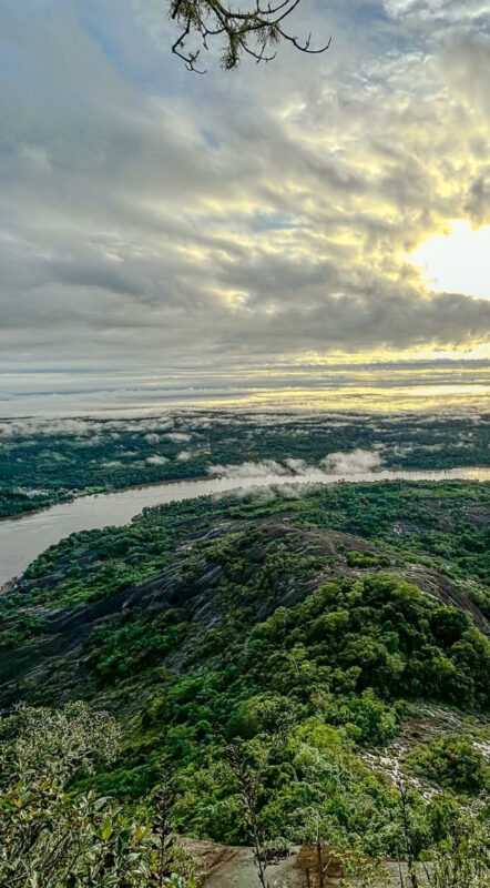 Enmascarar grupo 4190__ Enmascarar grupo 4190__