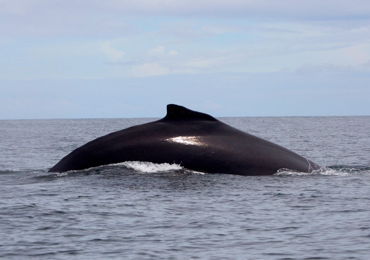 turismo slow travel Nuquí