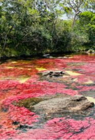 Enmascarar grupo 4192 Enmascarar grupo 4192