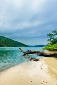 Enmascarar grupo 4192