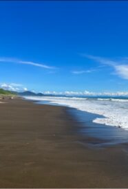 bahia Viaje inolvidable de avistamiento de ballenas en Bahía Solano