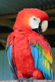 Enmascarar grupo 4194 Enmascarar grupo 4194