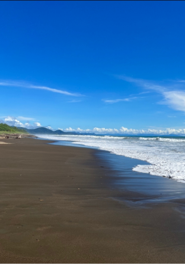 bahia Viaje inolvidable de avistamiento de ballenas en Bahía Solano
