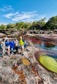 Enmascarar grupo 4195 Enmascarar grupo 4195