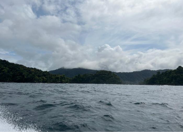 Enmascarar grupo 4201 Turismo sostenible para avistamiento de ballenas en Bahía Solano