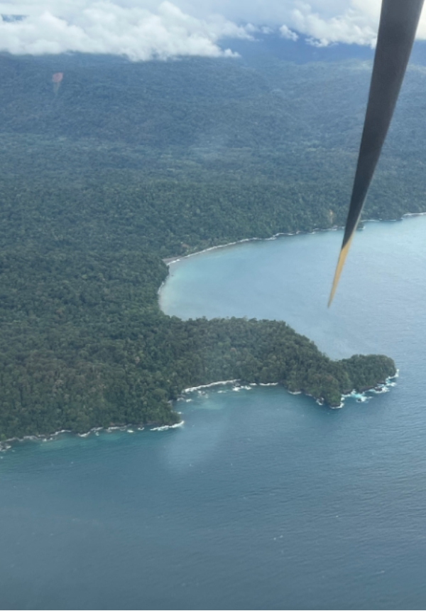 Enmascarar grupo 4202 Aventura marina con avistamiento responsable de ballenas