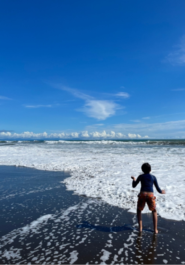 Enmascarar grupo 4204 Viaje soñado para ver ballenas en su hábitat natural