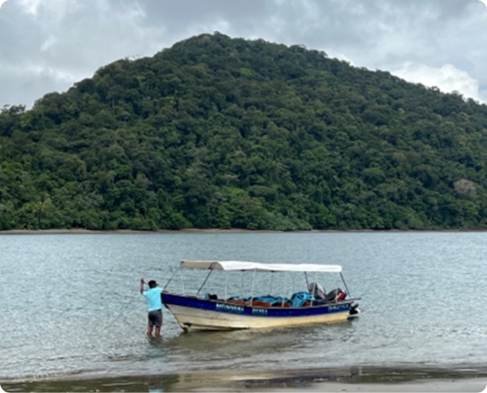 Enmascarar grupo 4205 Conecta con la naturaleza avistando ballenas en Bahía Solano