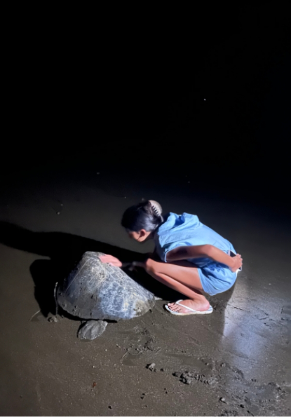 Enmascarar grupo 4206 Vive de cerca el espectáculo natural de las ballenas