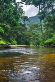 Enmascarar grupo 4217 historia indígena del Guaviare