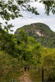 sitios arqueológicos del Guaviare sitios arqueológicos del Guaviare
