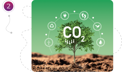 Grupo 18334_ Compromiso de Novatours con el planeta