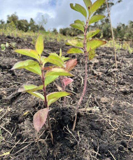 IMG_7305 Viajes que apoyan la conservación del medio ambiente