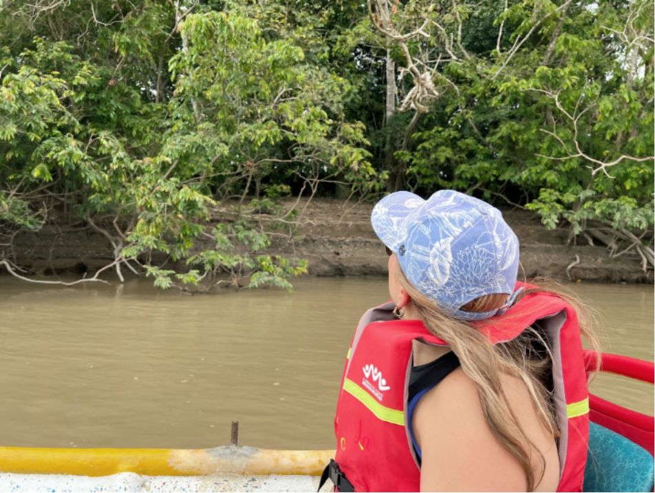 Cotizar viaje a Caño Cristales Río de los 7 Colores con Novatours Cotizar viaje a Caño Cristales Río de los 7 Colores con Novatours