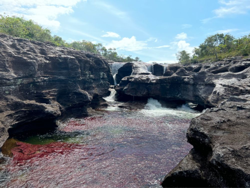 Viaje organizado a Caño Cristales La Macarena con Novatours Viaje organizado a Caño Cristales La Macarena con Novatours